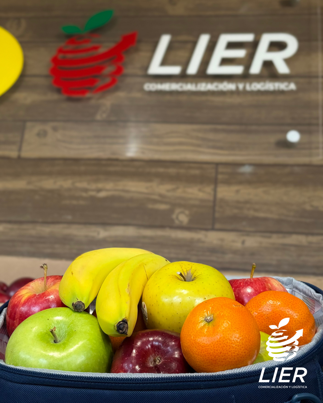 LIER Comercializadora-33